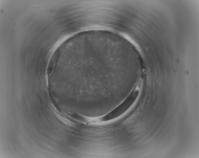 X0000070861372200607071847