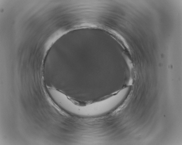 X0000070861373200607071847