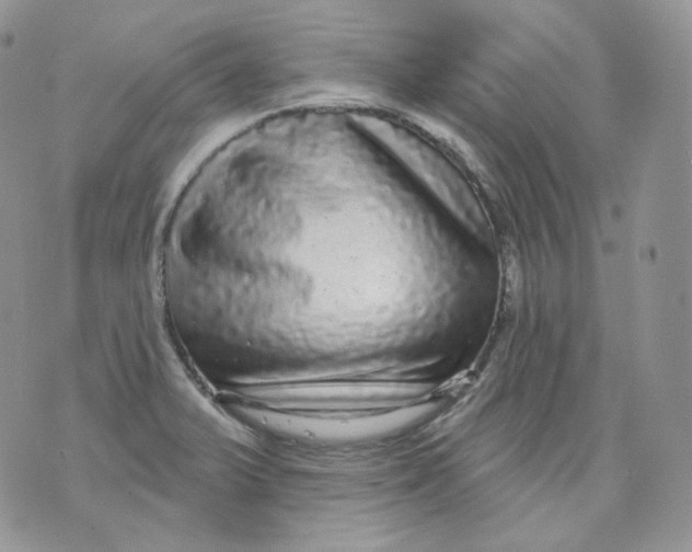 X0000070861375200607071847