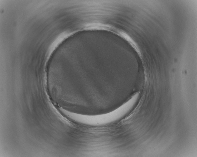 X0000070861376200607071847