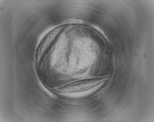 X0000070861379200607071847