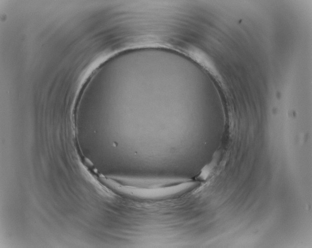 X0000070861380200607071847