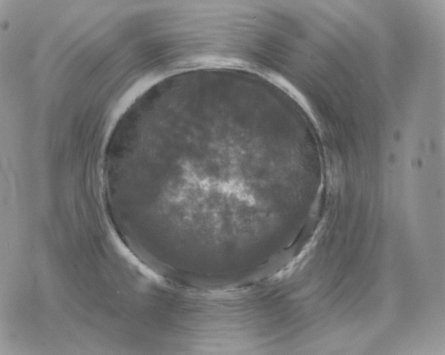 X0000070861381200607071847