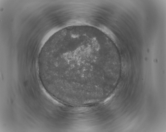 X0000070861382200607071847