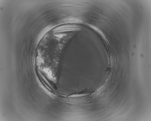 X0000070861383200607071847