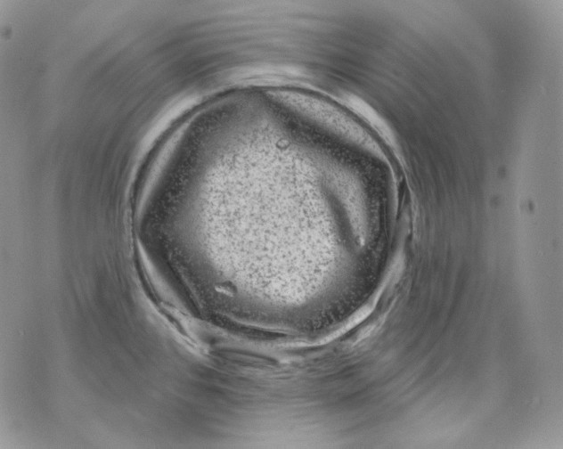 X0000070861384200607071847