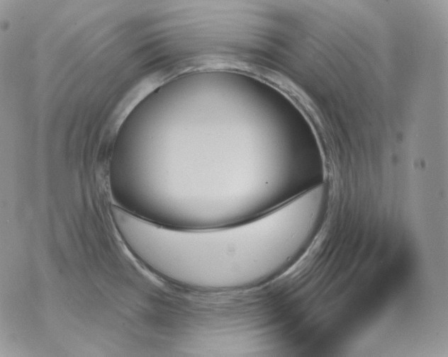 X0000070861385200607071847