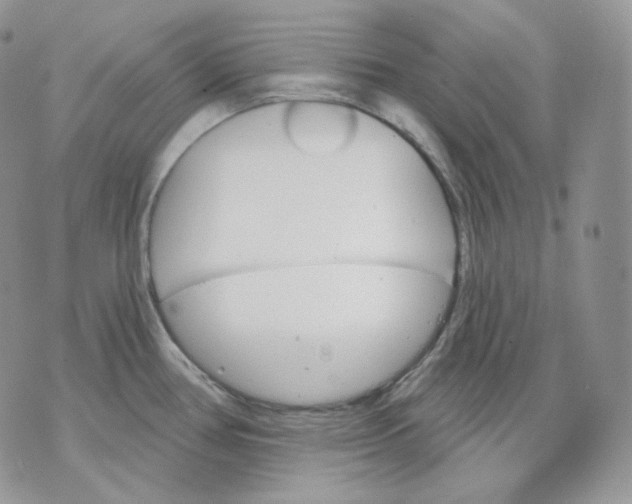 X0000070861386200607071847