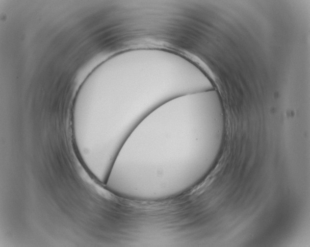 X0000070861387200607071847