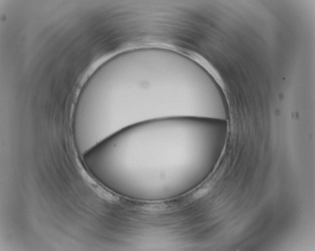 X0000070861388200607071847