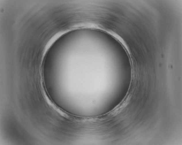 X0000070861389200607071847