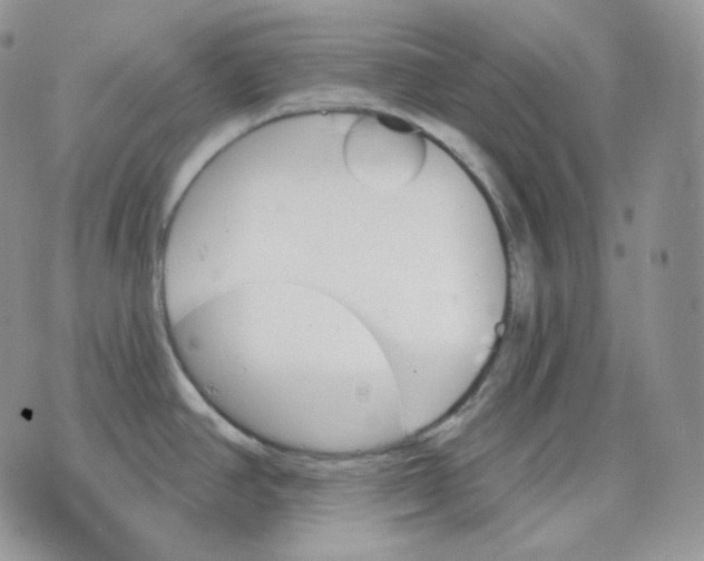 X0000070861390200607071847