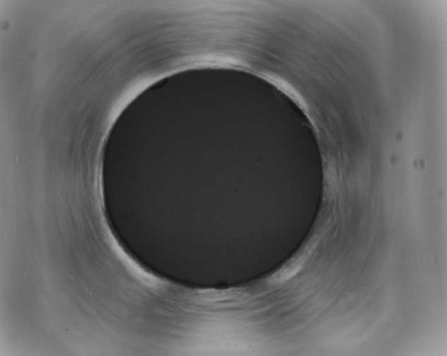 X0000070861391200607071847