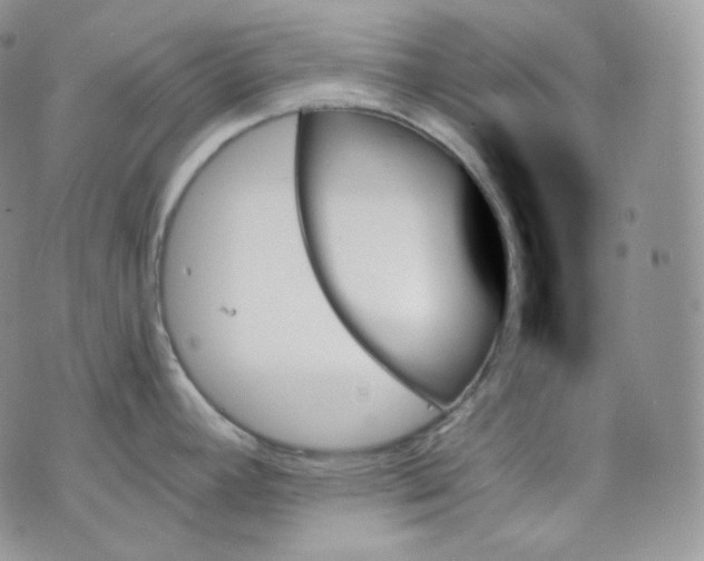 X0000070861392200607071847