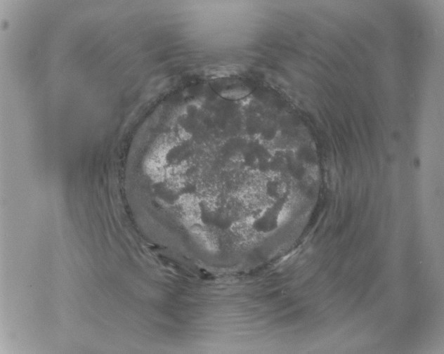 X0000070861393200607071846