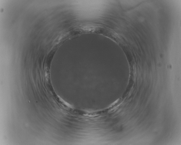 X0000070861394200607071846