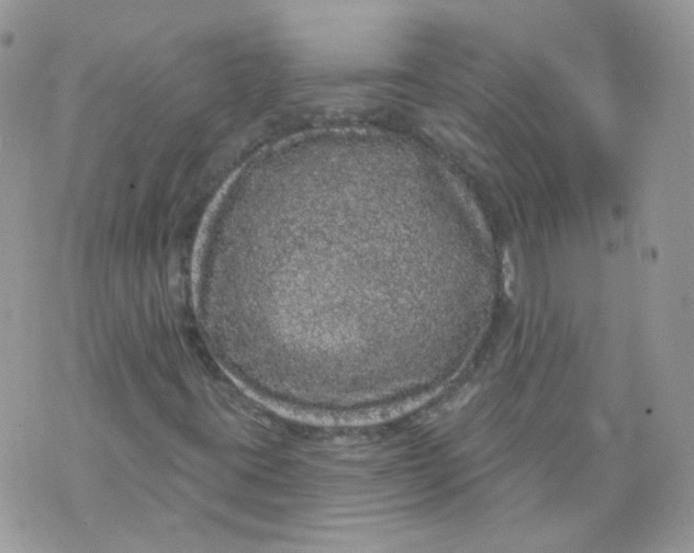 X0000070861395200607071846