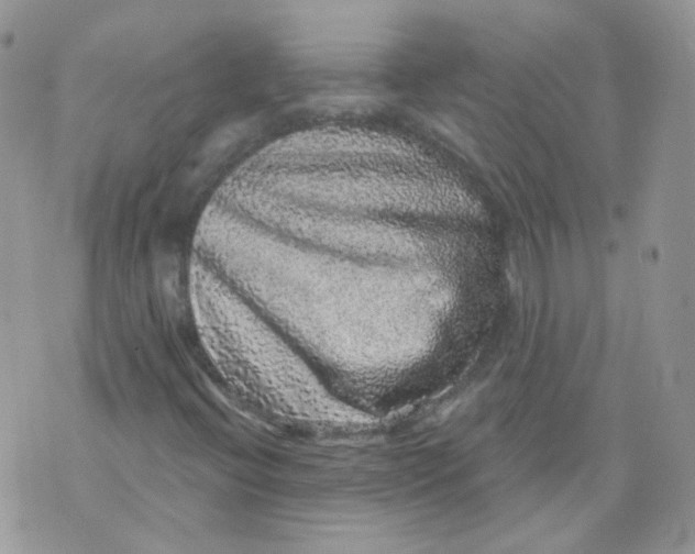 X0000070861396200607071846