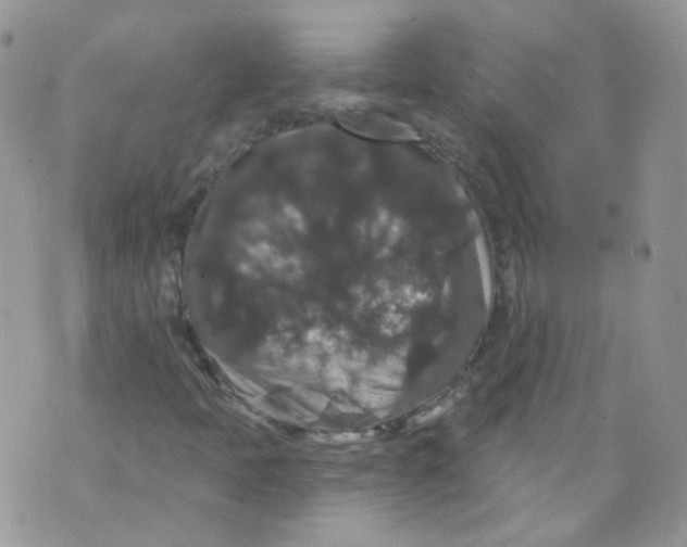 X0000070861397200607071846