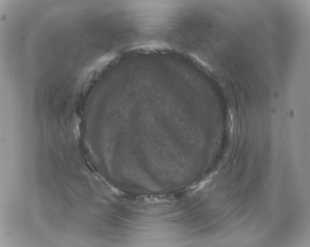 X0000070861398200607071846