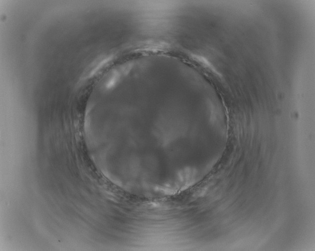 X0000070861399200607071846