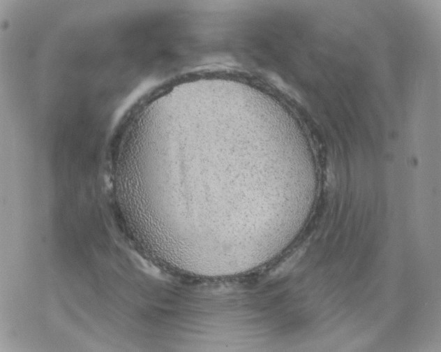 X0000070861400200607071846