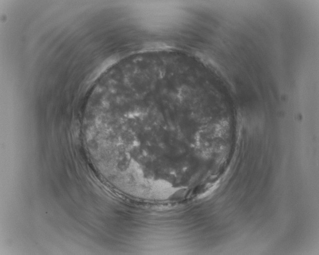 X0000070861401200607071846