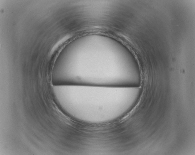 X0000070861402200607071846