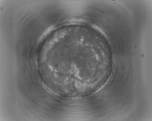 X0000070861403200607071846