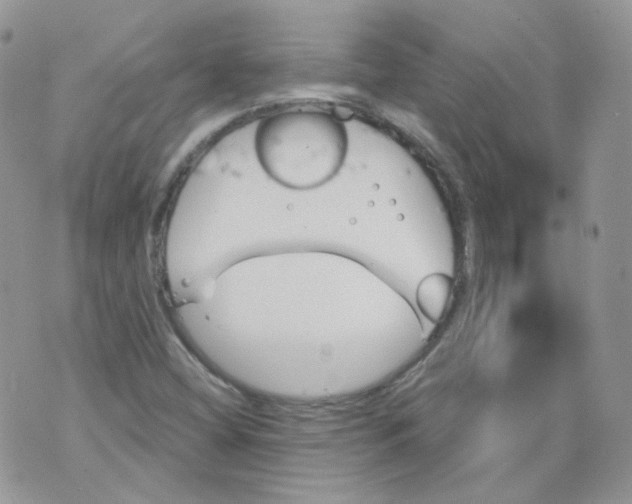 X0000070861404200607071846