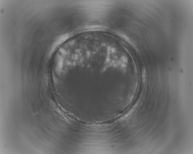 X0000070861405200607071846