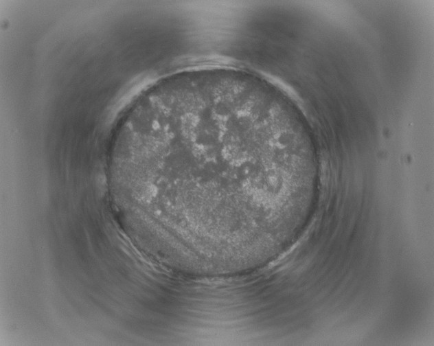 X0000070861407200607071846