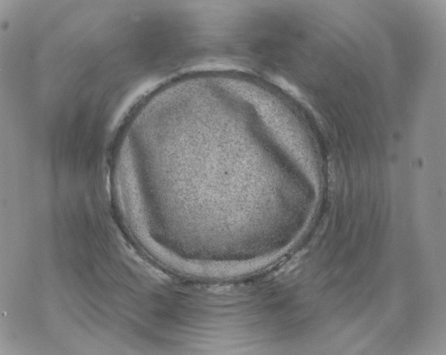 X0000070861408200607071846