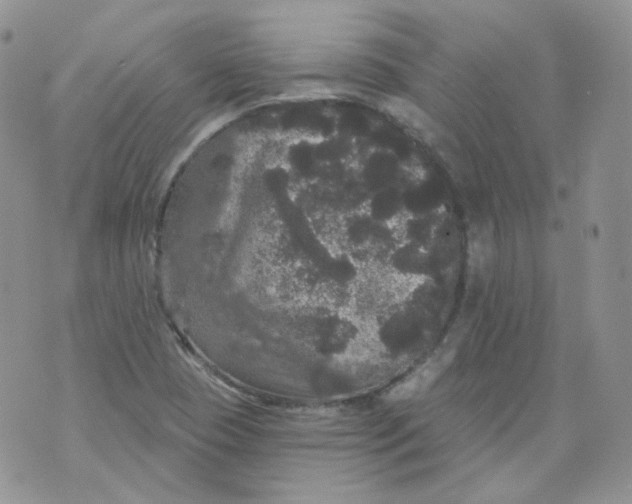 X0000070861409200607071846