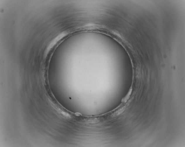 X0000070861410200607071846