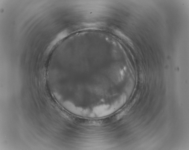 X0000070861411200607071846