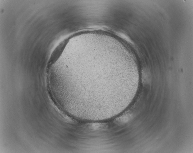 X0000070861412200607071846