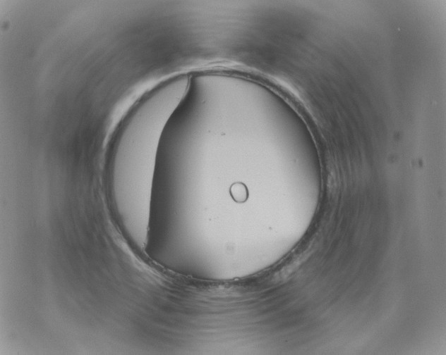 X0000070861414200607071846