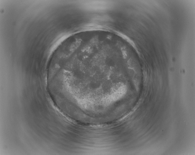 X0000070861415200607071846