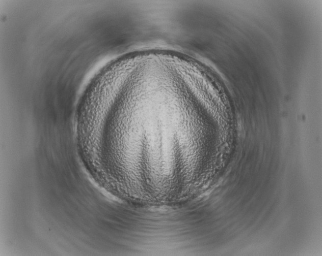 X0000070861416200607071846