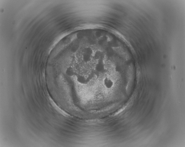 X0000070861417200607071846