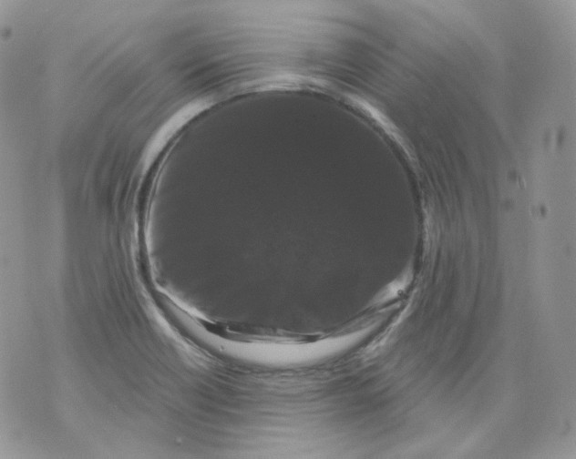 X0000070861418200607071846