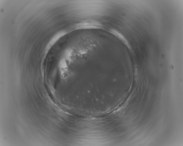 X0000070861419200607071846