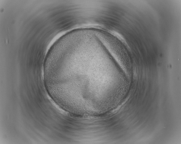 X0000070861420200607071846