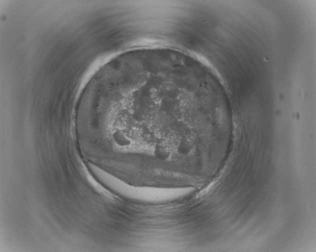 X0000070861421200607071846