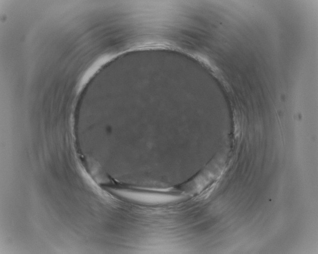 X0000070861422200607071846