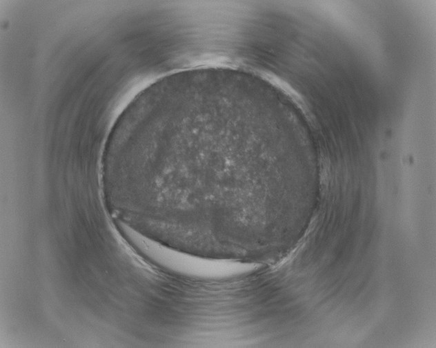 X0000070861423200607071846