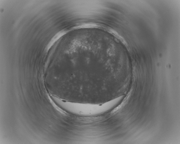 X0000070861425200607071846