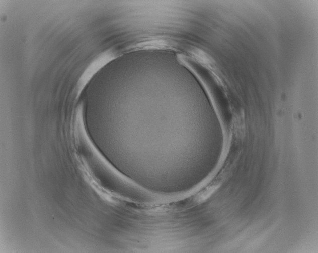 X0000070861426200607071846