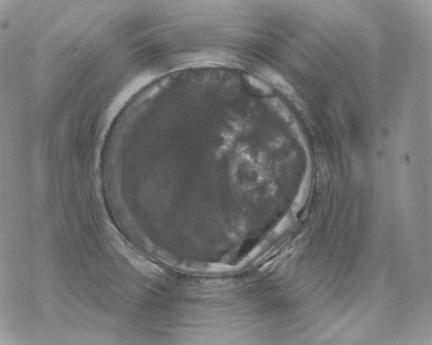 X0000070861427200607071846